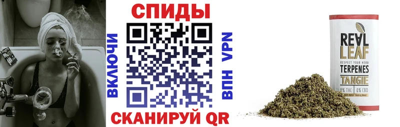 купить   Камышлов  БУТИРАТ BDO 33% 