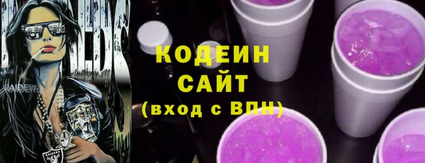 гидра Верхний Тагил