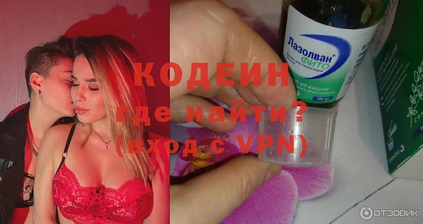 гидра Верхний Тагил