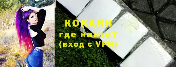 гидра Верхний Тагил