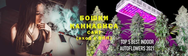 гидра Верхний Тагил