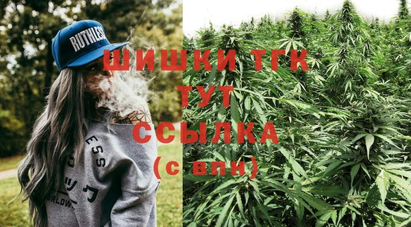 гидра Верхний Тагил