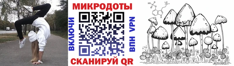 Псилоцибиновые грибы MAGIC MUSHROOMS  kraken ONION  Камышлов 